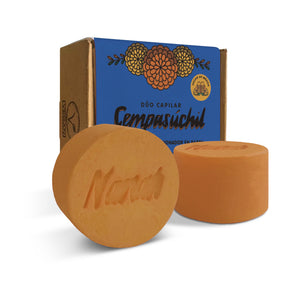 Cempasúchil Hair Duo