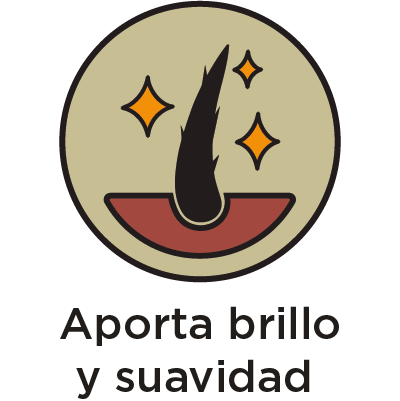 ICON-NAV-APORTA BRILLO