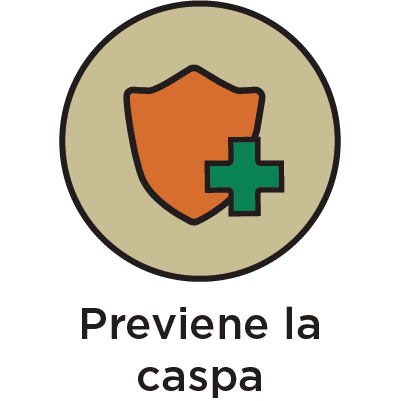 ICON-NAV-PREVIENE CASPA
