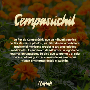 Shampoo de Cempasúchil - Edición Limitada