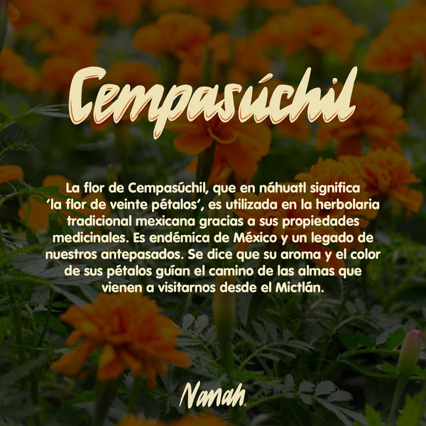Shampoo de Cempasúchil - Edición Limitada
